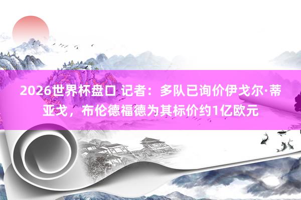 2026世界杯盘口 记者:多队已询价伊戈尔·蒂亚戈,布伦德福德为其标价约1亿欧元