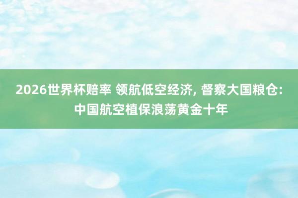2026世界杯赔率 领航低空经济, 督察大国粮仓: 中国航空植保浪荡黄金十年