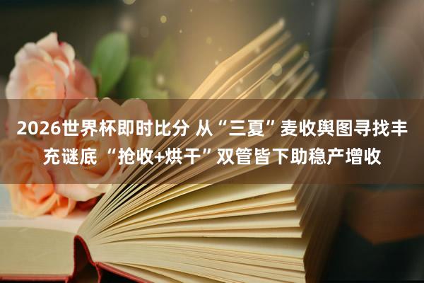 2026世界杯即时比分 从“三夏”麦收舆图寻找丰充谜底 “抢收+烘干”双管皆下助稳产增收