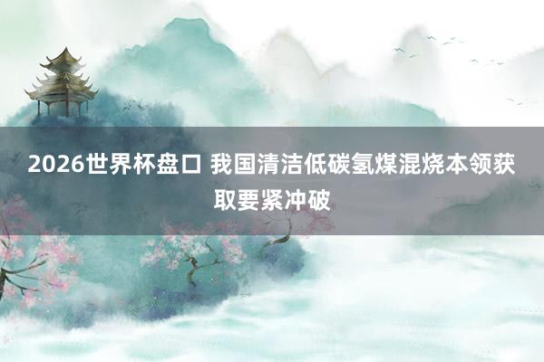 2026世界杯盘口 我国清洁低碳氢煤混烧本领获取要紧冲破