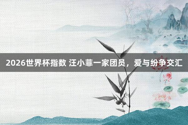 2026世界杯指数 汪小菲一家团员,爱与纷争交汇