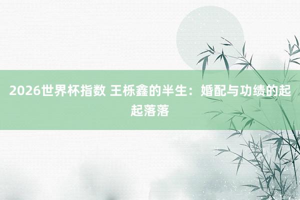 2026世界杯指数 王栎鑫的半生：婚配与功绩的起起落落