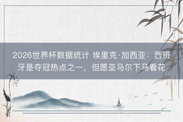 2026世界杯数据统计 埃里克·加西亚:西班牙是夺冠热点之一,但愿亚马尔下马看花
