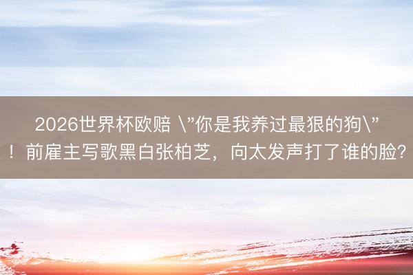2026世界杯欧赔