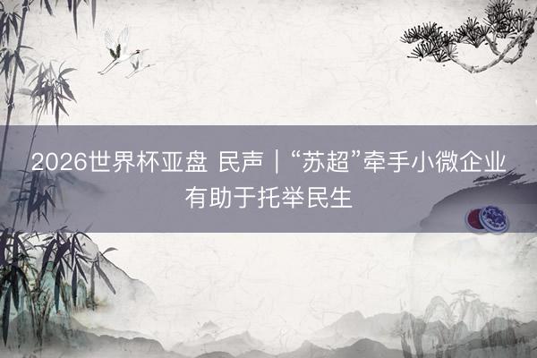 2026世界杯亚盘 民声|“苏超”牵手小微企业有助于托举民生