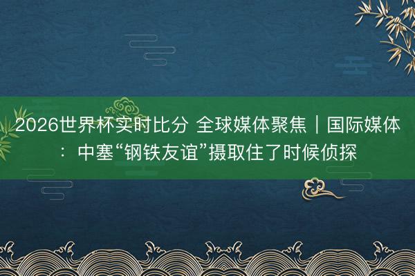 2026世界杯实时比分 全球媒体聚焦|国际媒体:中塞“钢铁友谊”摄取住了时候侦探