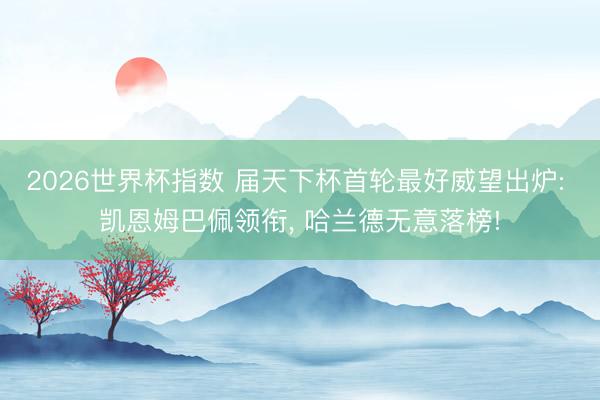 2026世界杯指数 届天下杯首轮最好威望出炉: 凯恩姆巴佩领衔， 哈兰德无意落榜!